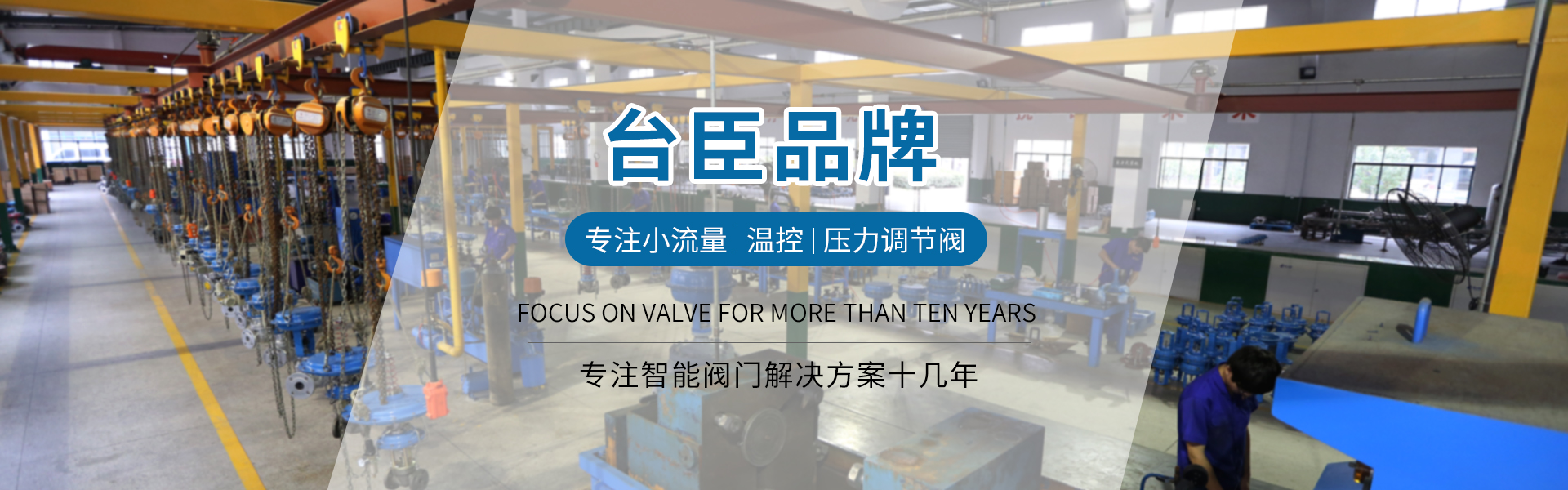 臺(tái)臣閥門-免費(fèi)拿樣、提供方案、3年質(zhì)保